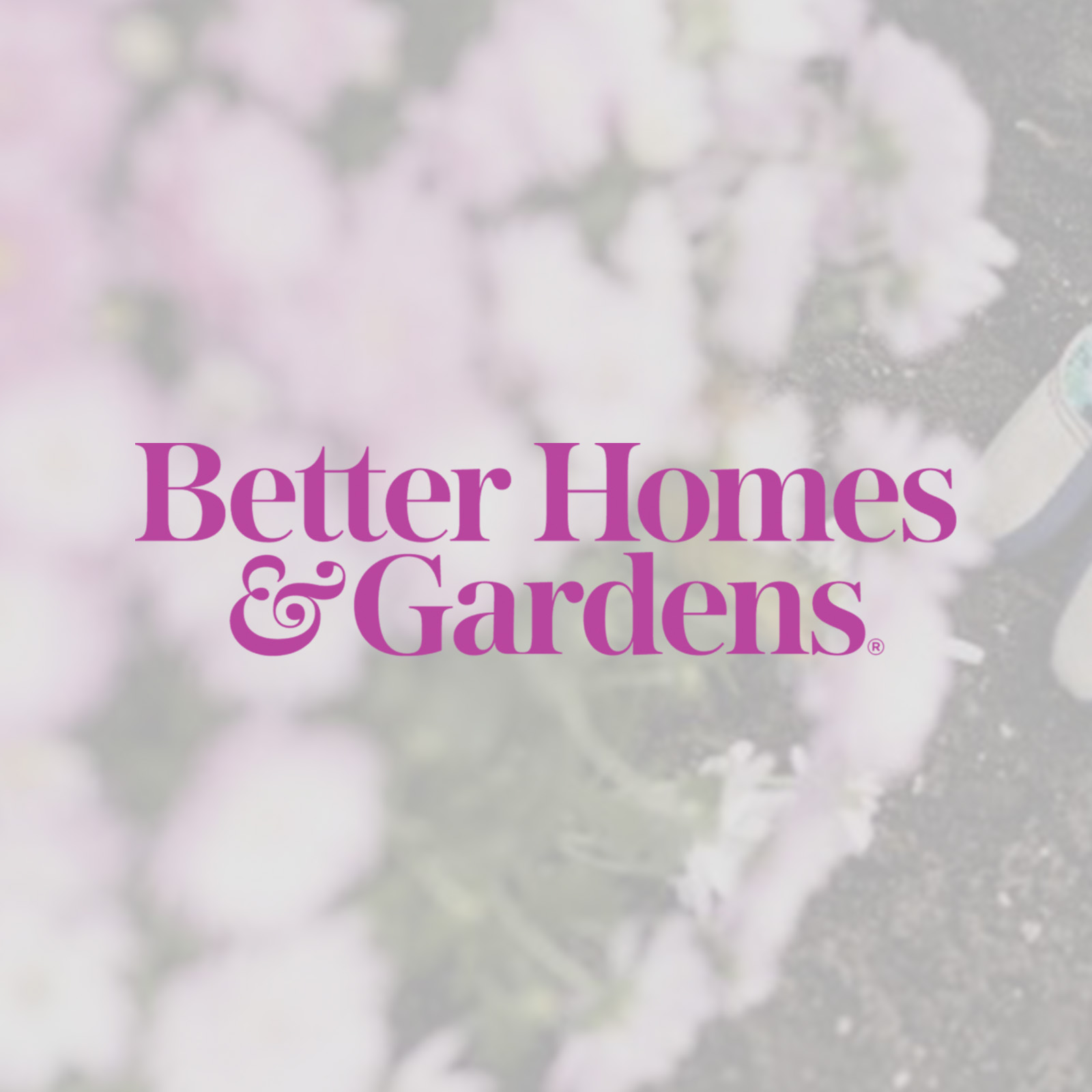 Better homes and Gardens Article